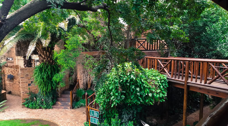 Tropical garden at AARK